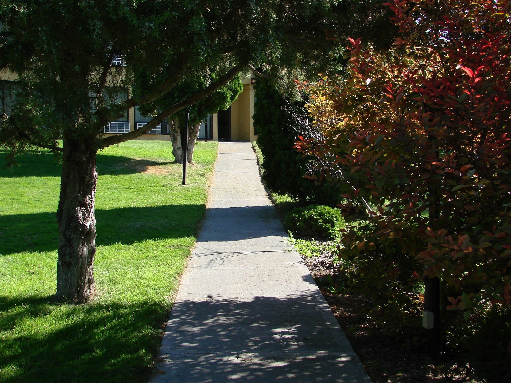 Econo Lodge Near Snake River 爱达荷福尔斯 外观 照片